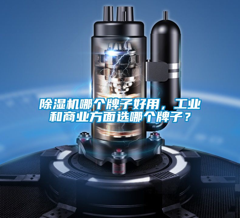 除濕機哪個牌子好用，工業(yè)和商業(yè)方面選哪個牌子？