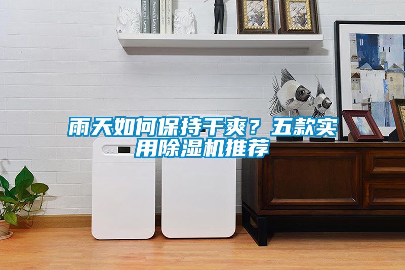 雨天如何保持干爽？五款實(shí)用除濕機(jī)推薦