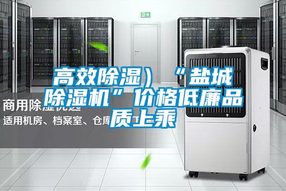 高效除濕）“鹽城除濕機”價格低廉品質(zhì)上乘