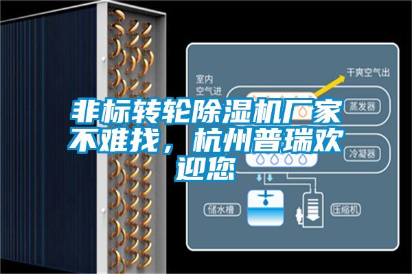 非標轉輪除濕機廠家不難找，杭州普瑞歡迎您