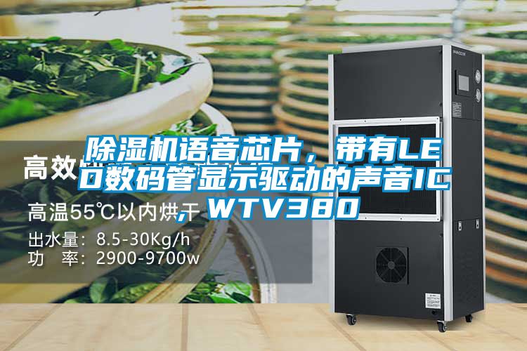 除濕機語音芯片，帶有LED數(shù)碼管顯示驅(qū)動的聲音IC，WTV380