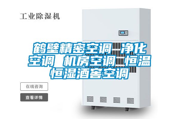 鶴壁精密空調(diào) 凈化空調(diào) 機(jī)房空調(diào) 恒溫恒濕酒窖空調(diào)