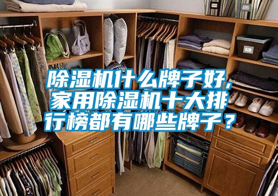 除濕機什么牌子好,家用除濕機十大排行榜都有哪些牌子？