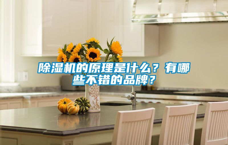 除濕機(jī)的原理是什么？有哪些不錯(cuò)的品牌？