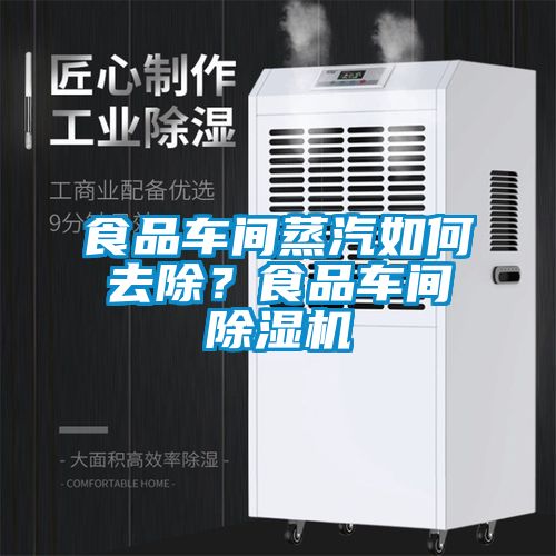 食品車間蒸汽如何去除？食品車間除濕機