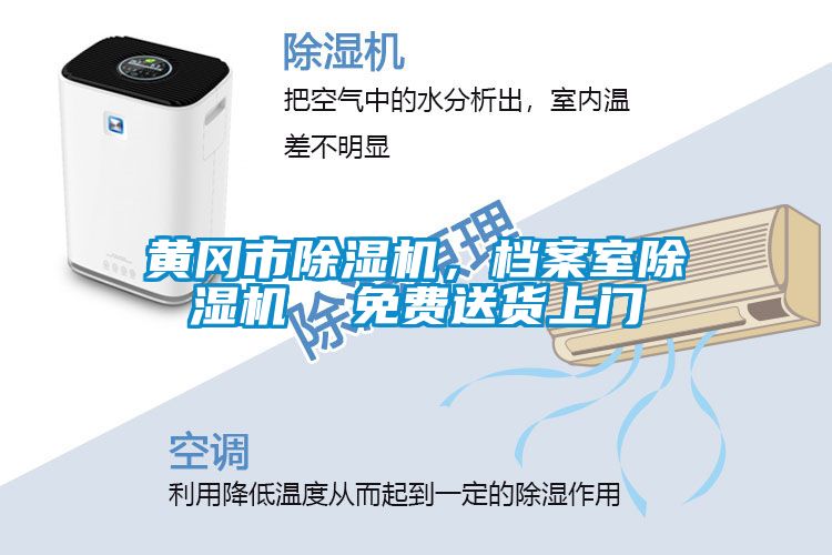 黃岡市除濕機，檔案室除濕機  免費送貨上門