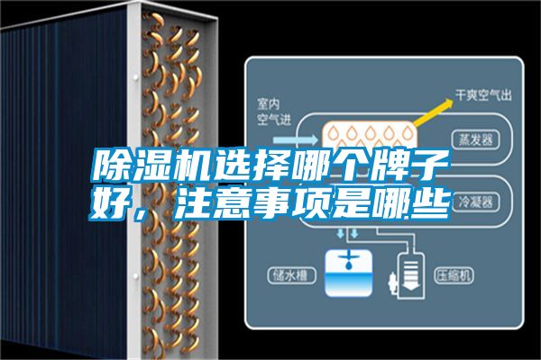 除濕機選擇哪個牌子好，注意事項是哪些