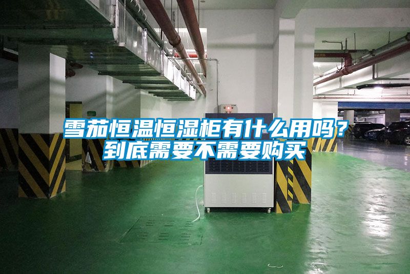 雪茄恒溫恒濕柜有什么用嗎？到底需要不需要購買