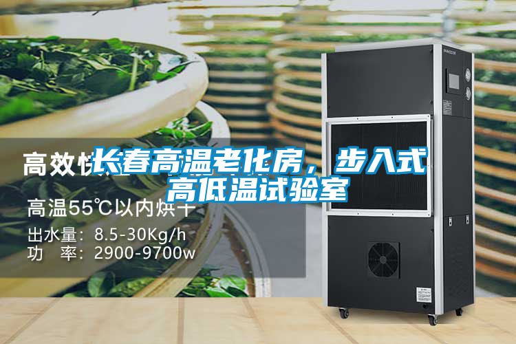 長春高溫老化房，步入式高低溫試驗室