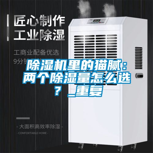 除濕機(jī)里的貓膩：兩個(gè)除濕量怎么選？_重復(fù)