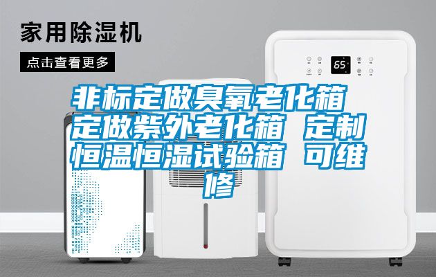 非標(biāo)定做臭氧老化箱 定做紫外老化箱 定制恒溫恒濕試驗箱 可維修