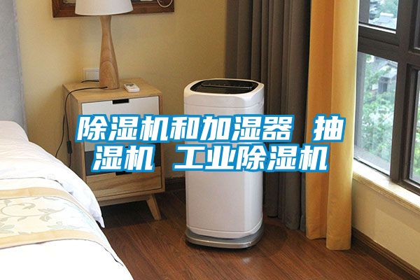 除濕機(jī)和加濕器 抽濕機(jī) 工業(yè)除濕機(jī)