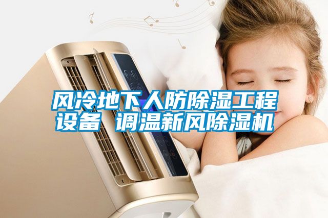 風(fēng)冷地下人防除濕工程設(shè)備 調(diào)溫新風(fēng)除濕機