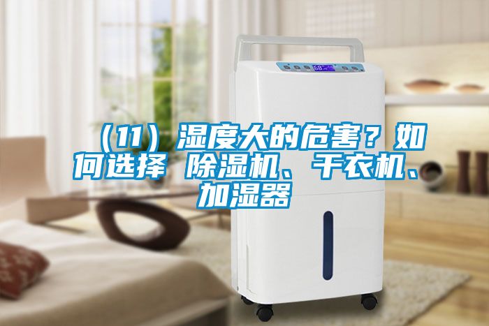 （11）濕度大的危害？如何選擇 除濕機(jī)、干衣機(jī)、加濕器