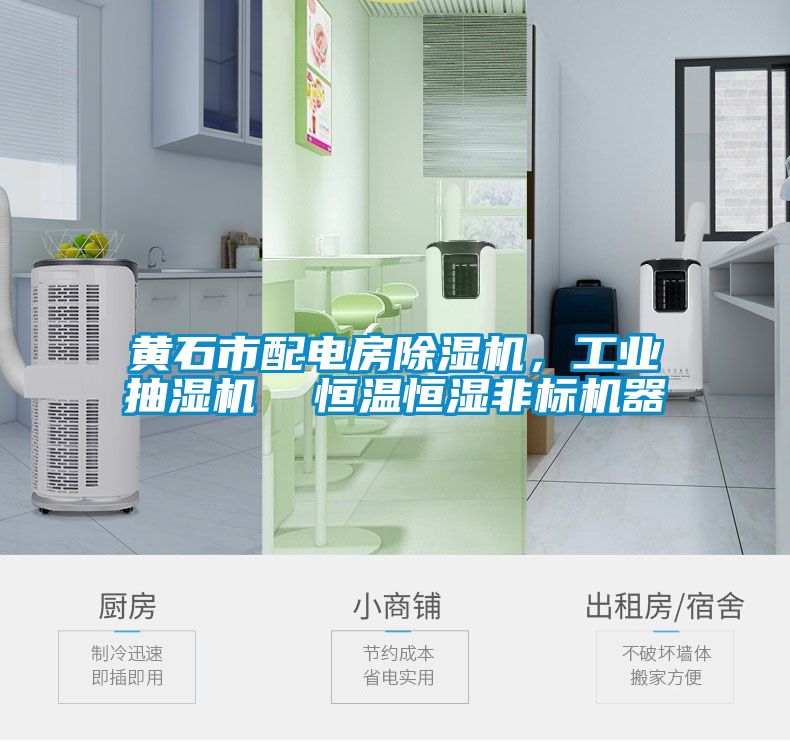 黃石市配電房除濕機(jī)，工業(yè)抽濕機(jī)  恒溫恒濕非標(biāo)機(jī)器