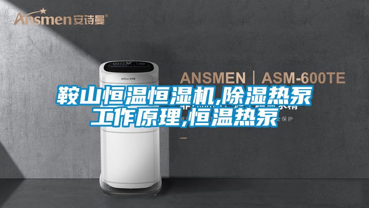 鞍山恒溫恒濕機,除濕熱泵工作原理,恒溫?zé)岜?/></p>
						    <p style=