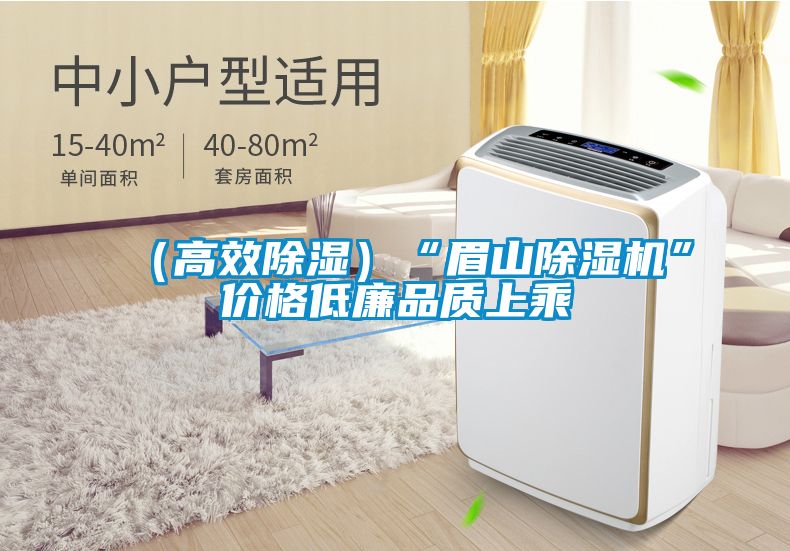 （高效除濕）“眉山除濕機(jī)”價格低廉品質(zhì)上乘