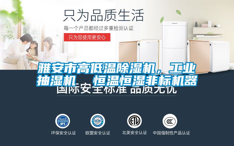 雅安市高低溫除濕機，工業(yè)抽濕機  恒溫恒濕非標機器