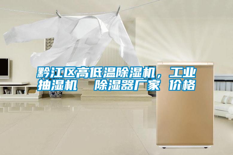 黔江區(qū)高低溫除濕機(jī)，工業(yè)抽濕機(jī)  除濕器廠家 價格