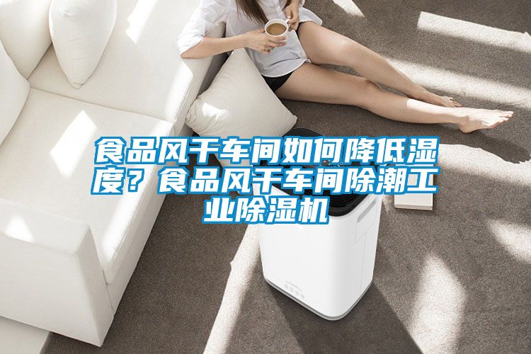 食品風(fēng)干車間如何降低濕度？食品風(fēng)干車間除潮工業(yè)除濕機