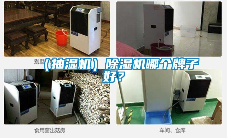 （抽濕機(jī)）除濕機(jī)哪個牌子好？